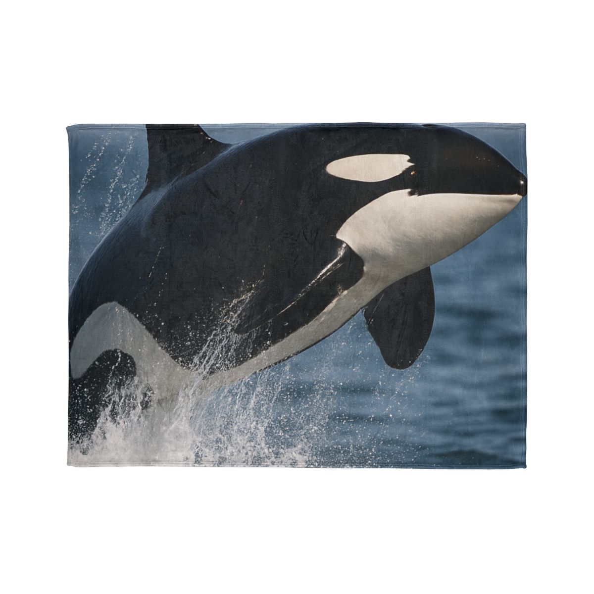 Tidal Monarch Orca soft fleece blankets