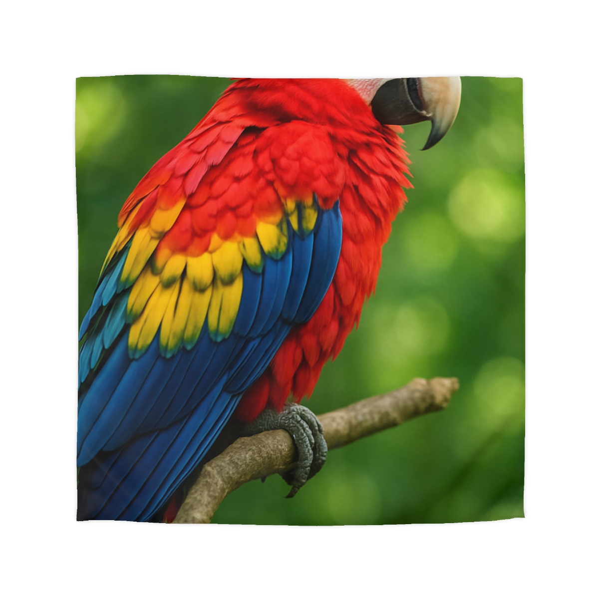 Color Storm Scarlet Macaw trendy bedroom duvets