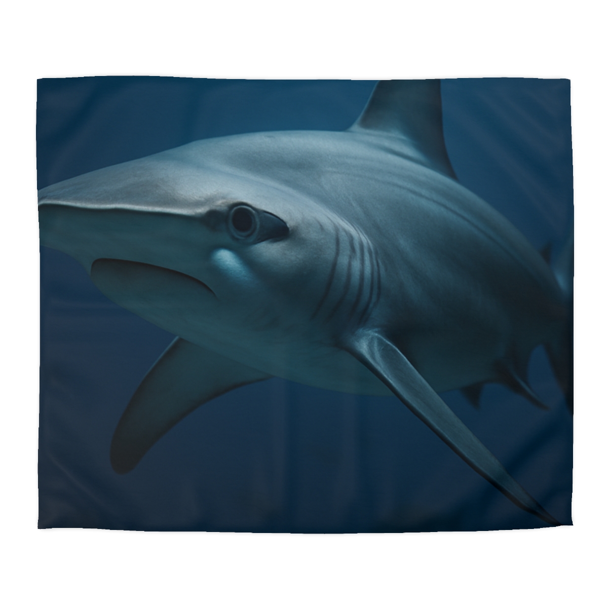 Storm Edge Hammerhead Shark stylish duvet covers