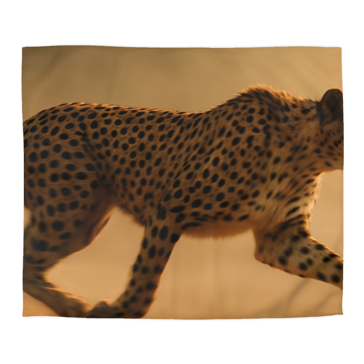 Horizon Sprint Cheetah soft comforter duvets