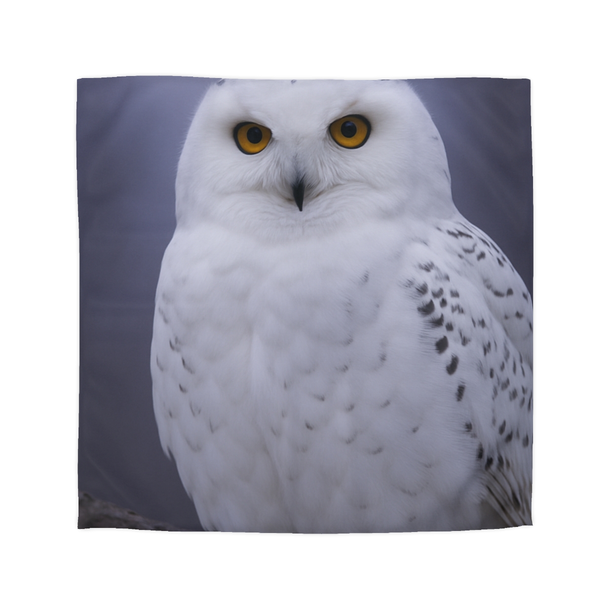 Twilight Watcher Snowy Owl soft comforter duvets