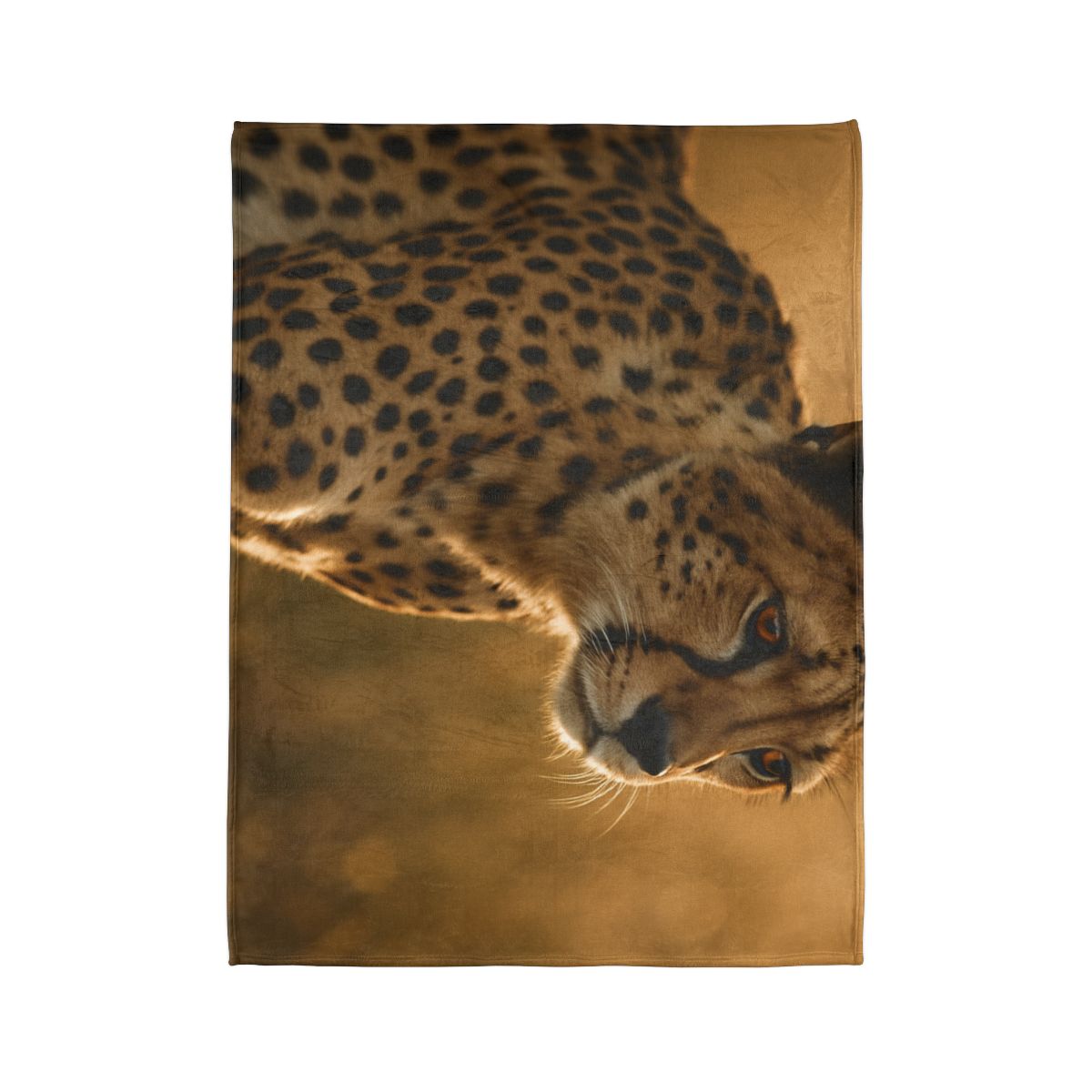 Sunlit Stare Cheetah warm winter blankets