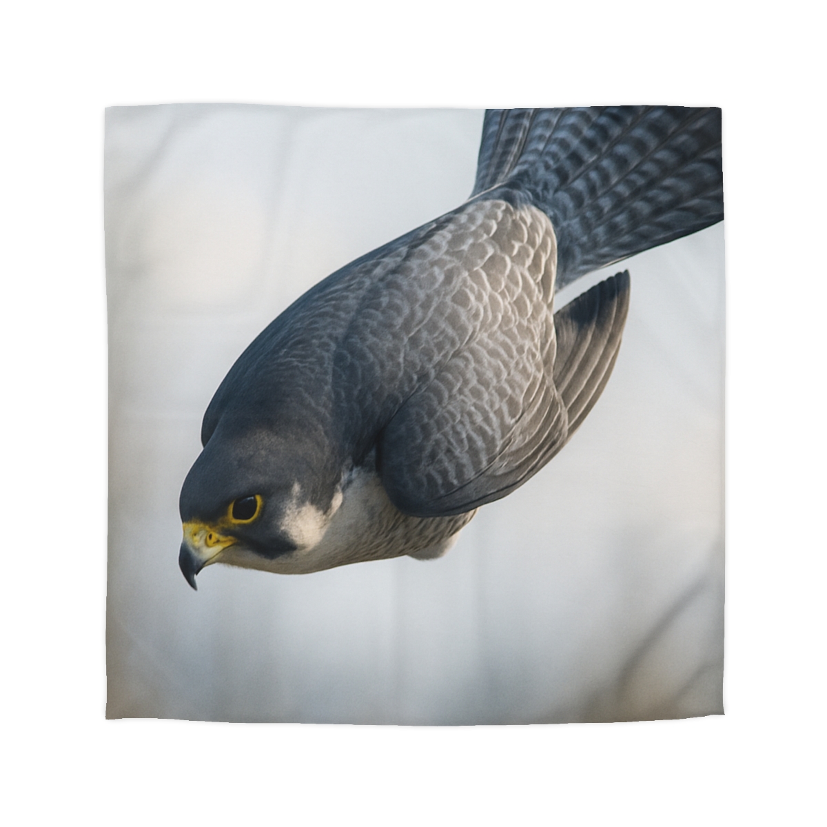 Comet Dive Peregrine Falcon stylish duvet covers