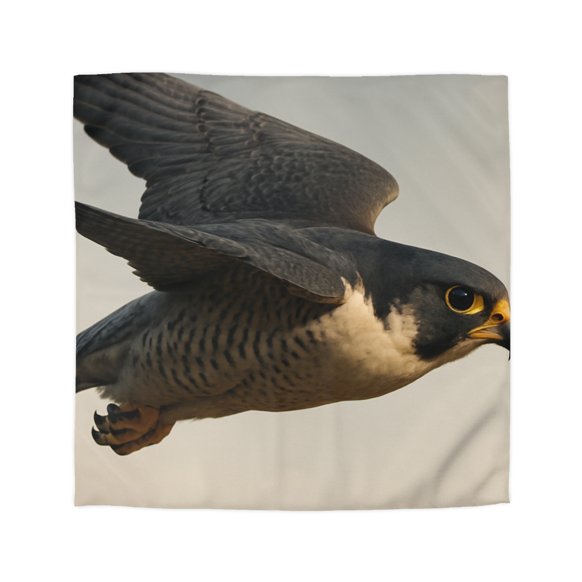 Comet Glide Peregrine Falcon duvets for gifts