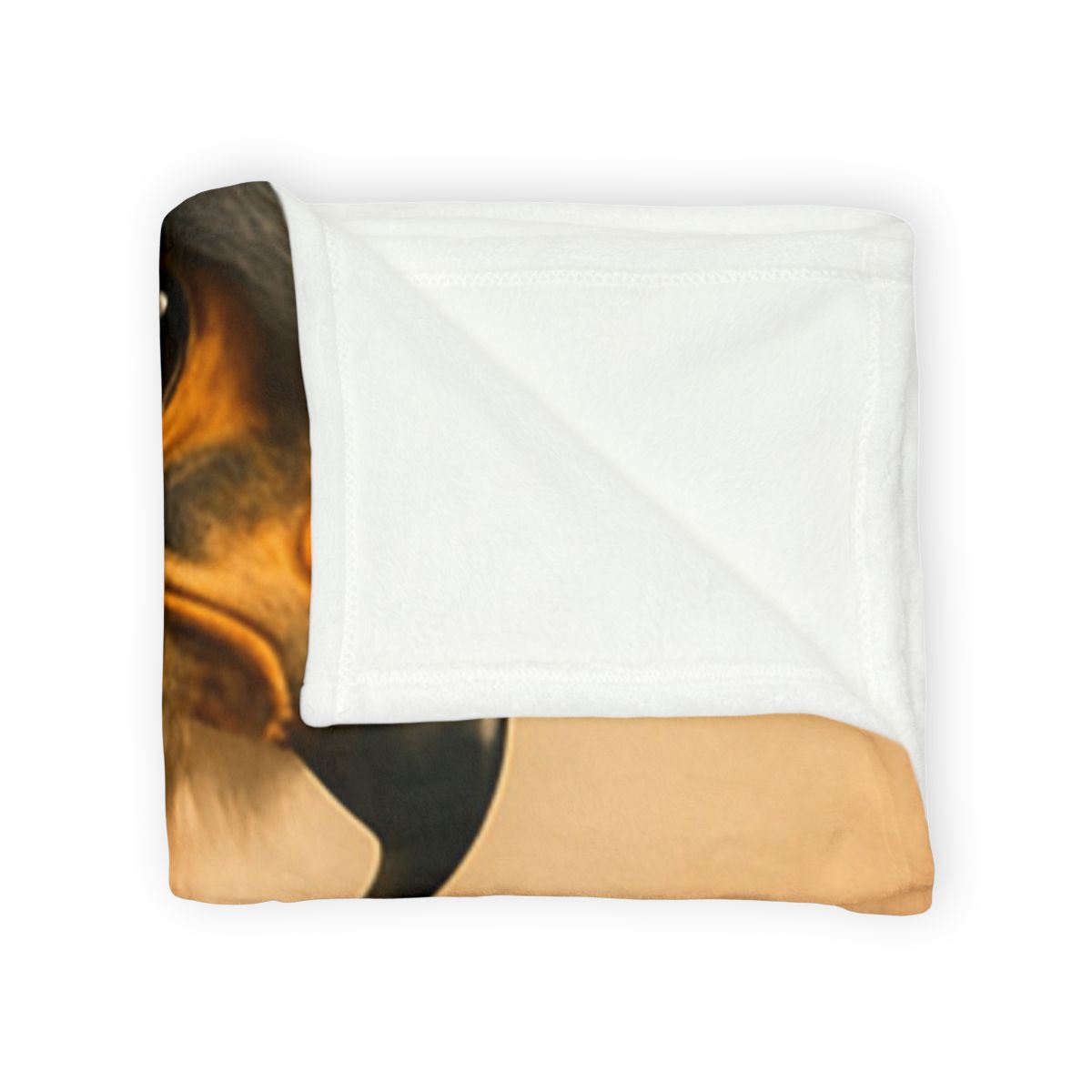 Solar Crest Peregrine Falcon decorative home blankets