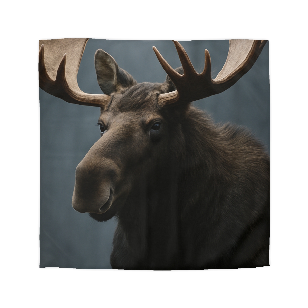 Quiet Titan Moose warm winter duvets