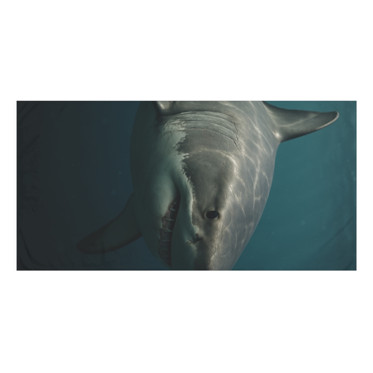 Silent Hunter Great White Shark decorative home towels