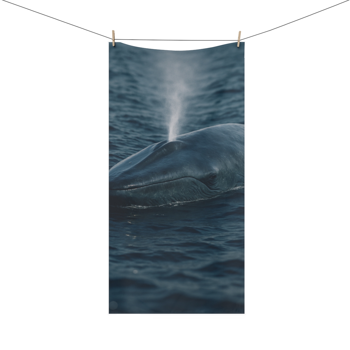 Ocean Song Blue Whale unique gift towels