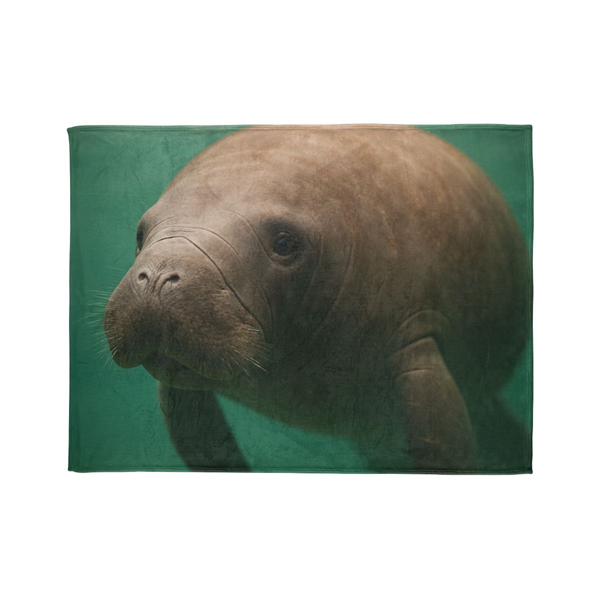 Glasswater Drifter West Indian Manatee stylish throw blankets