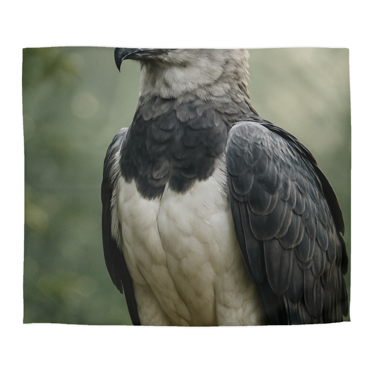 Stormlight Sentinel Harpy Eagle unique patterned duvets