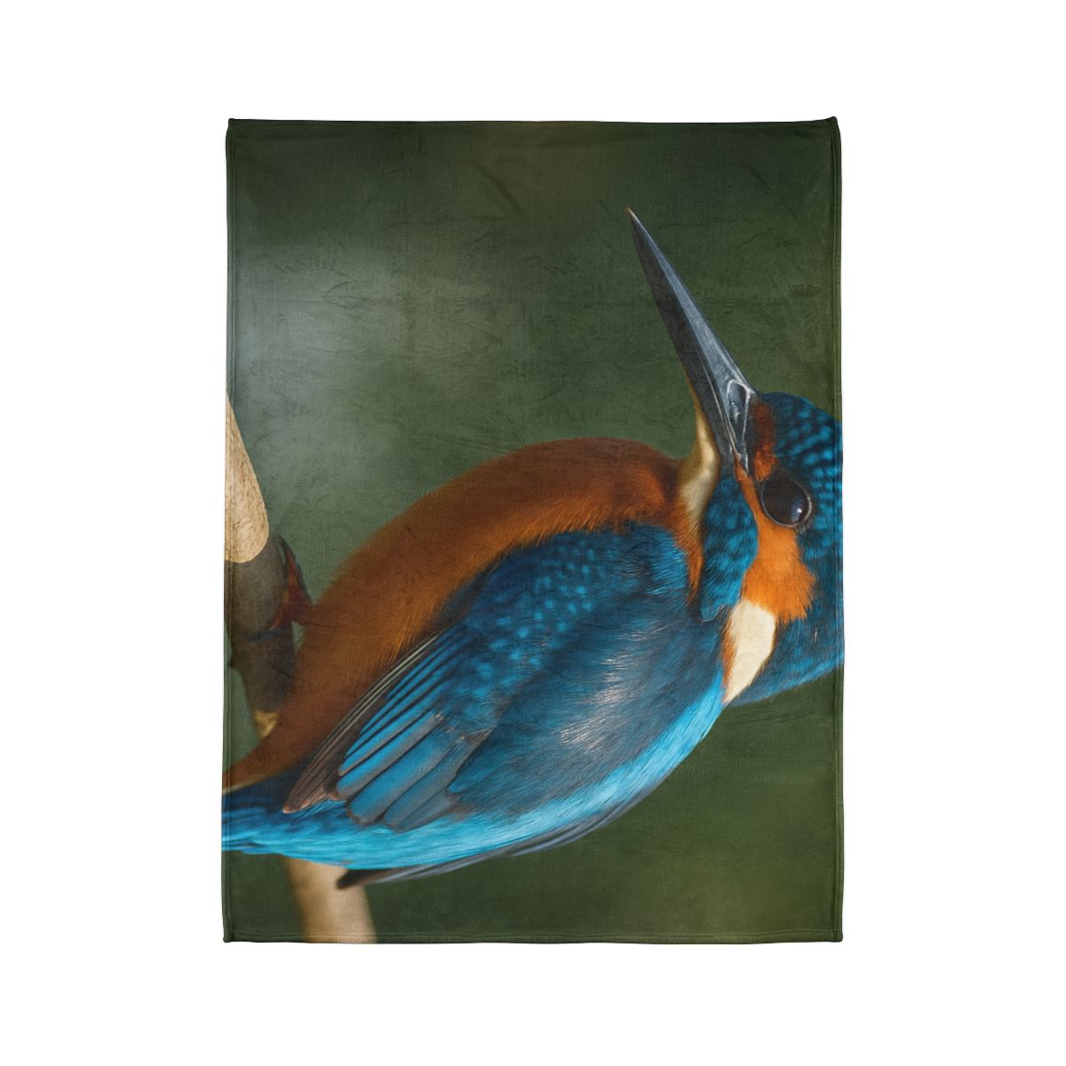 Azure Bolt Common Kingfisher soft fleece blankets