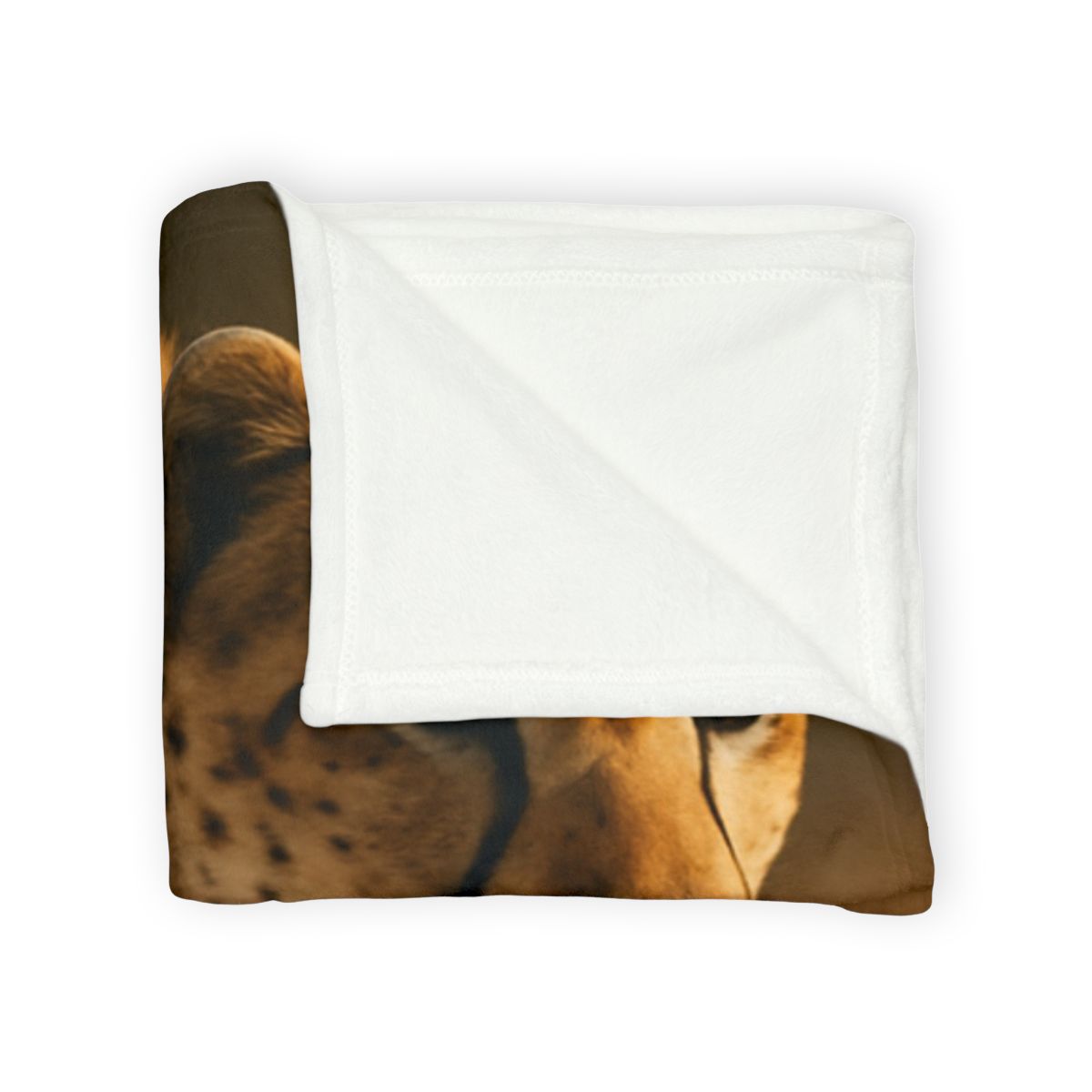 Speed Whisper Cheetah trendy patterned blankets