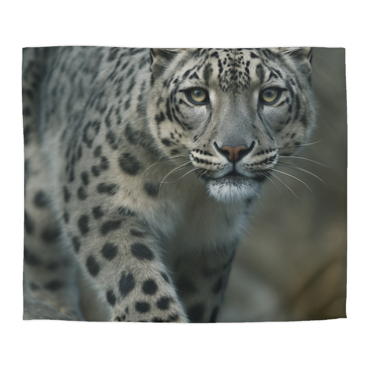 Starlit Sprint Snow Leopard soft comforter duvets
