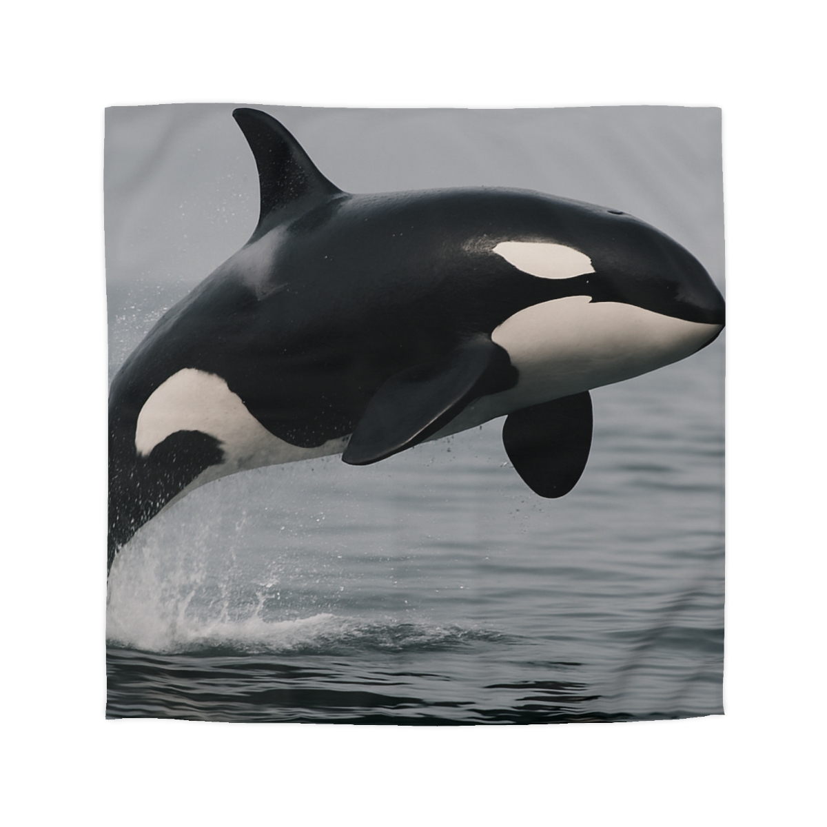 Tidal Monarch Orca custom duvets