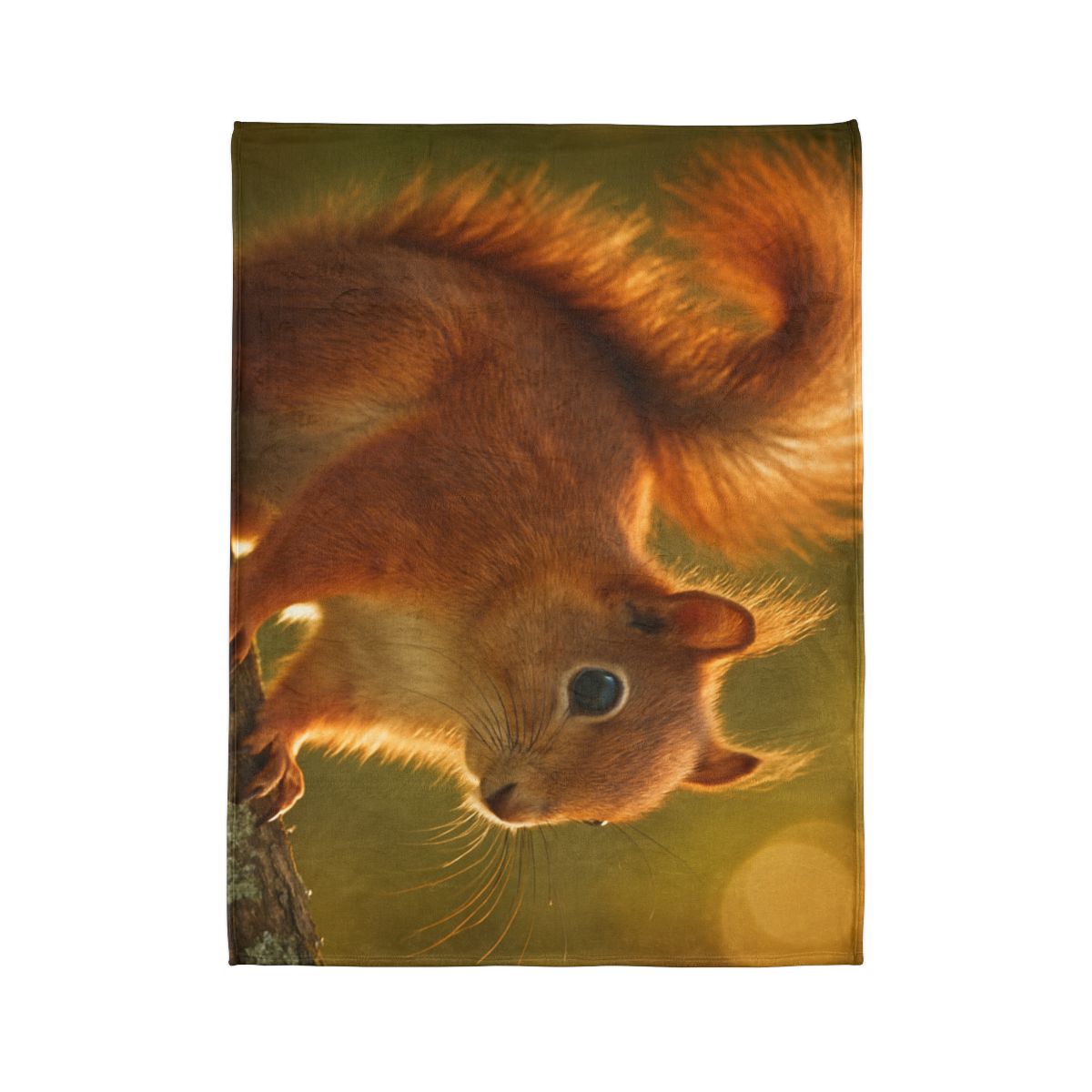 Sunrise Forager Red Squirrel decorative home blankets