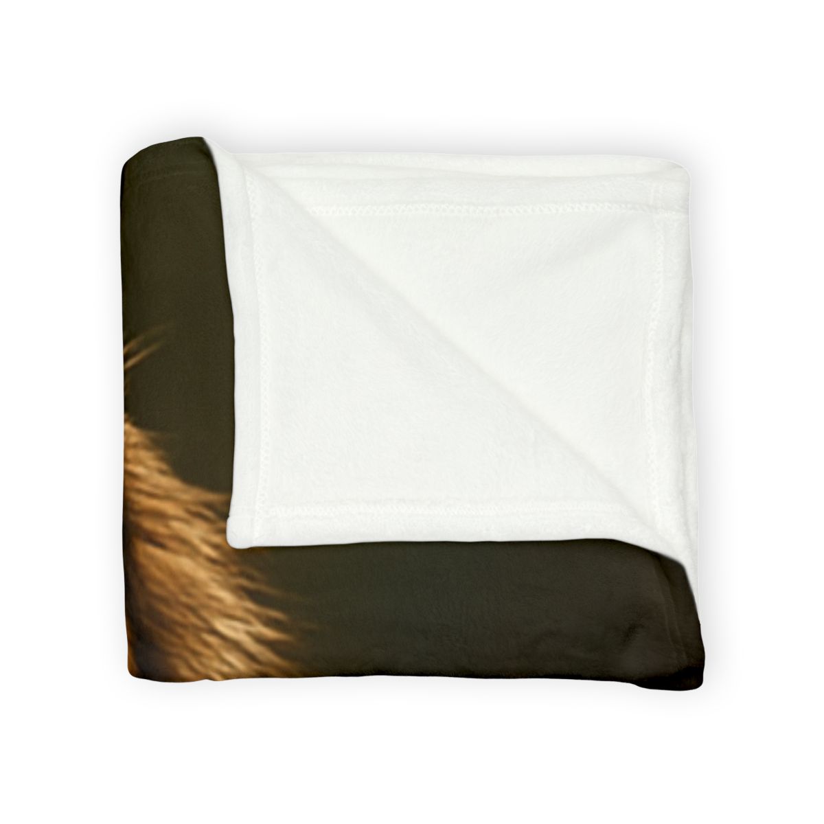 Forest Stalker Bengal Tiger trendy patterned blankets