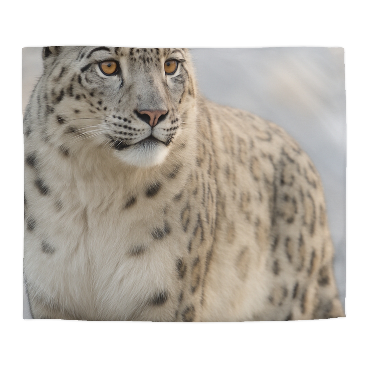 Summit Ghost Snow Leopard stylish duvet covers