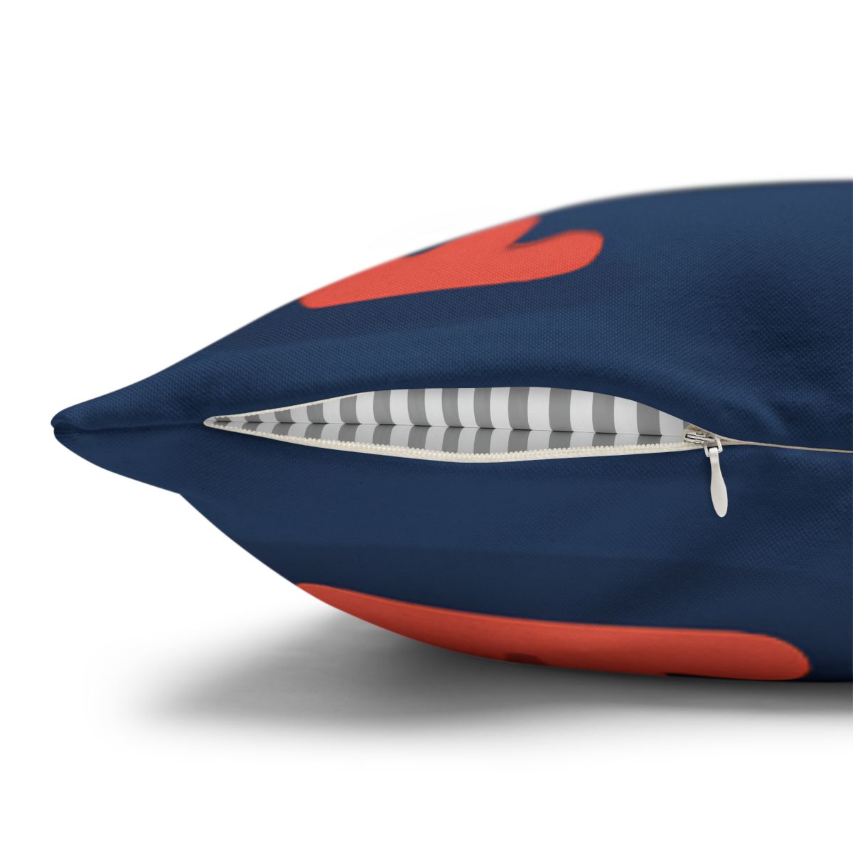 Comet Classroom Turtle personalized pillow covers