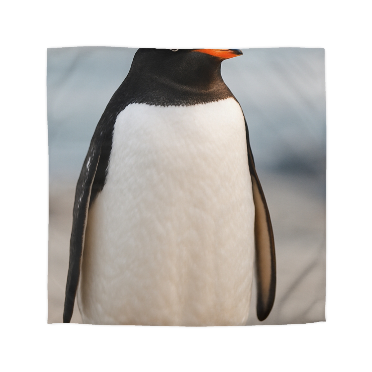 Shoreline Echo Gentoo Penguin trendy bedroom duvets