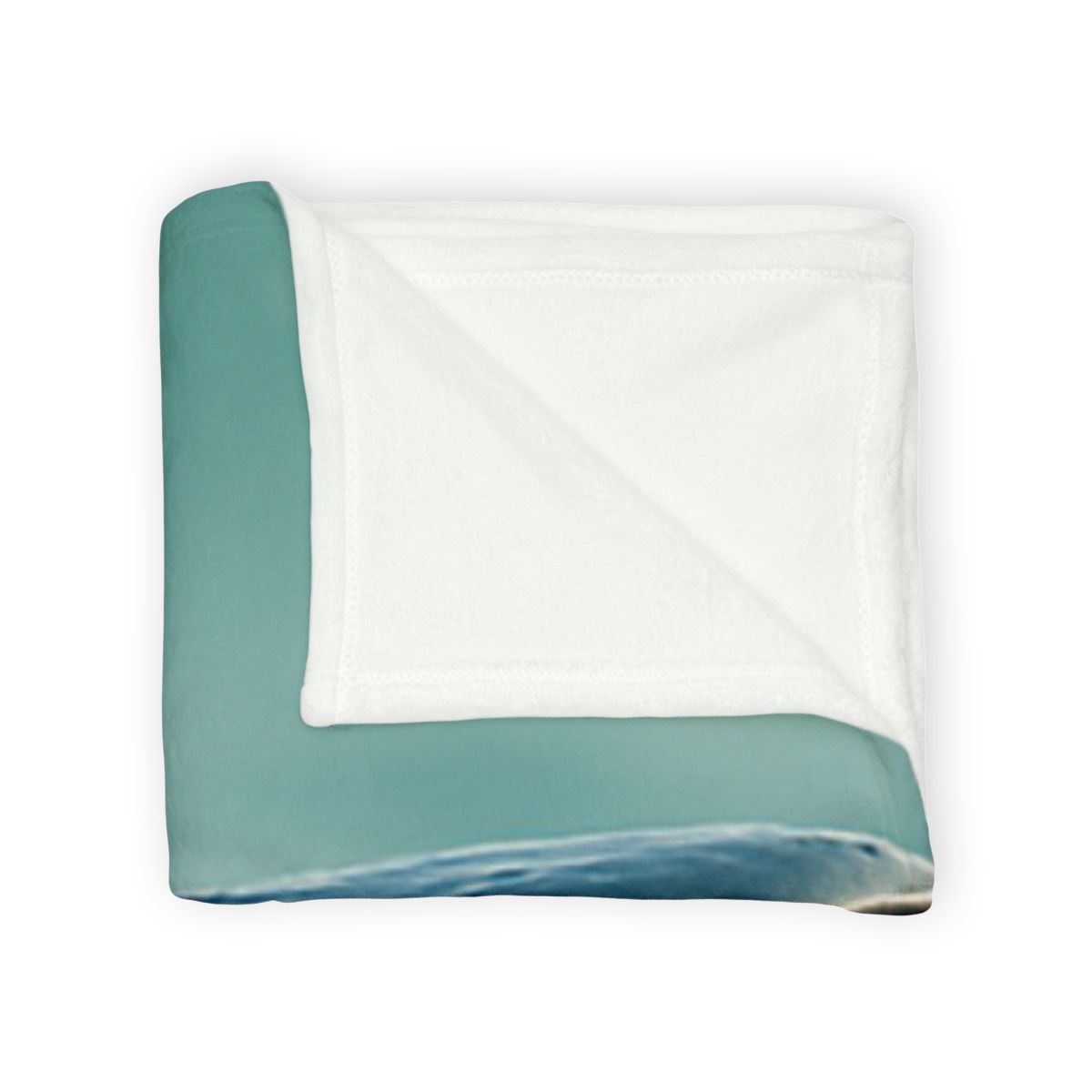 Ocean Song Blue Whale stylish throw blankets