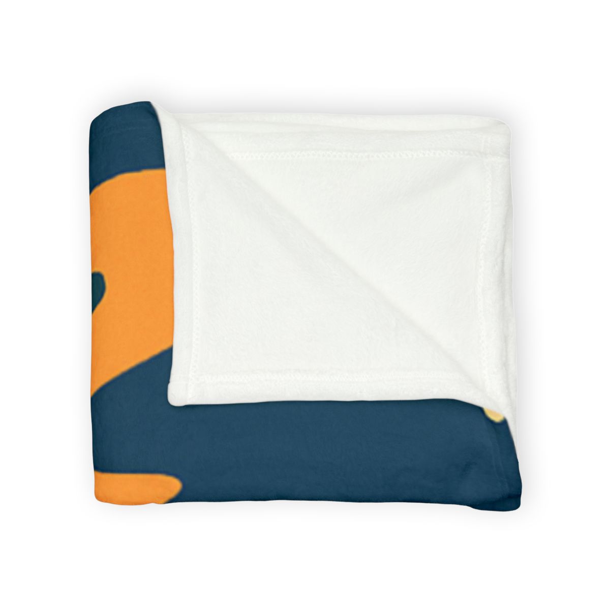 Comet Classroom With A Curious Fox soft fleece blankets