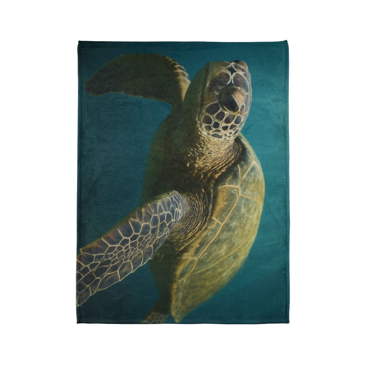 Glasswater Drift Green Sea Turtle warm winter blankets