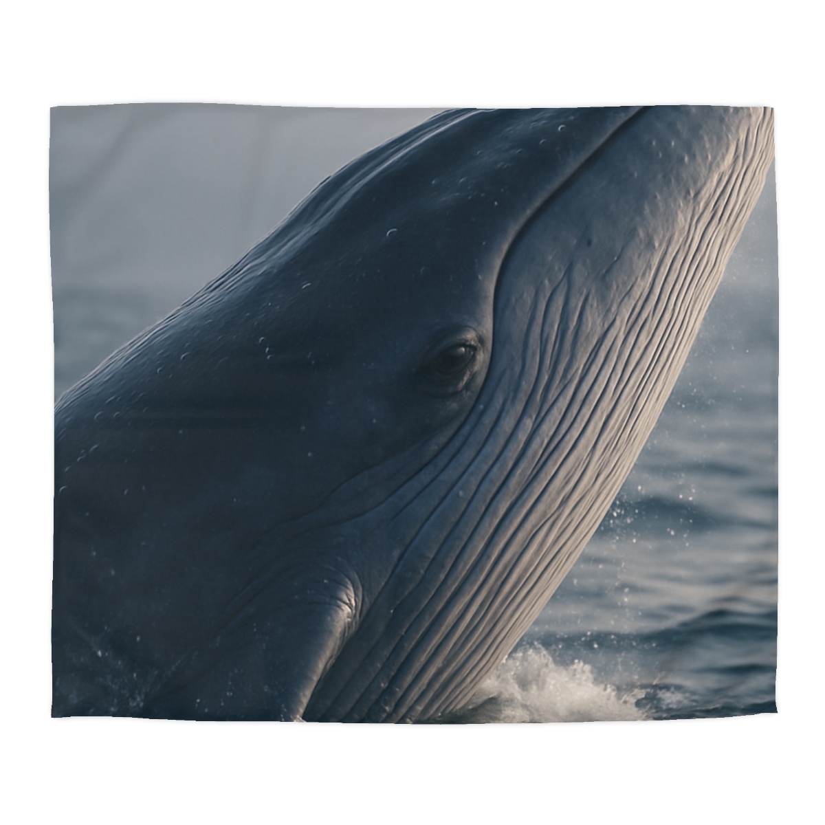Ocean Song Blue Whale warm winter duvets