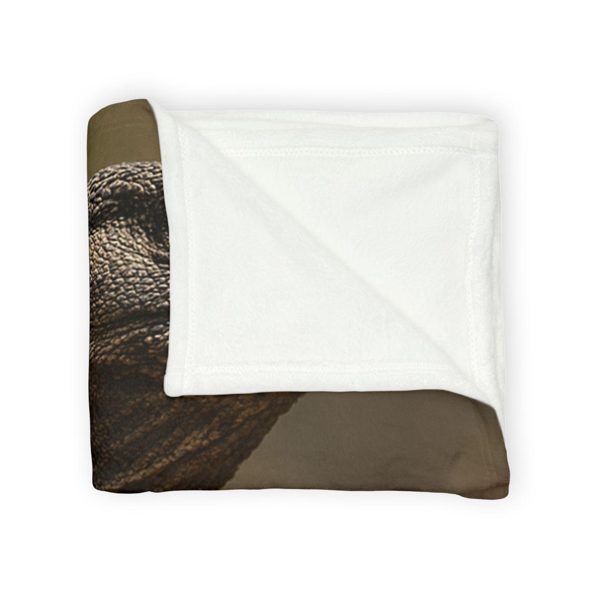 Ancient Sentinel Komodo Dragon decorative home blankets