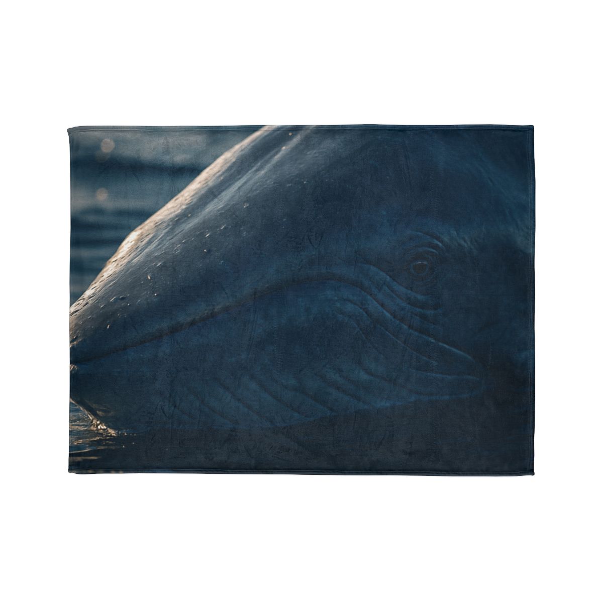Ocean Song Blue Whale designer printed blankets