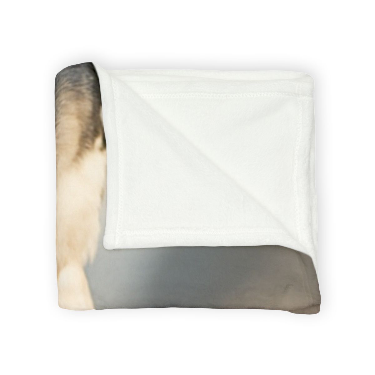 Velocity Gaze Peregrine Falcon decorative home blankets