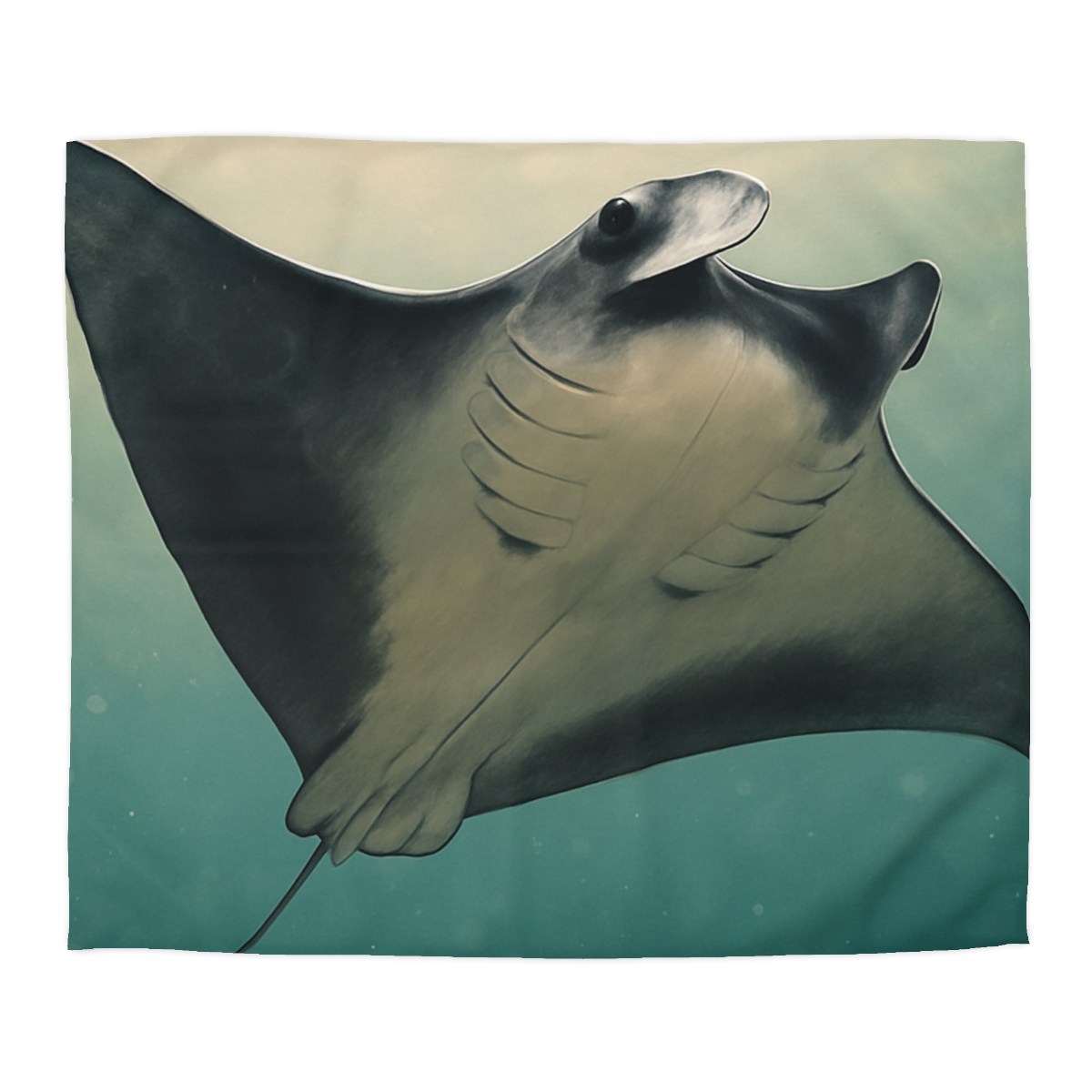 Velvet Current Manta Ray warm winter duvets