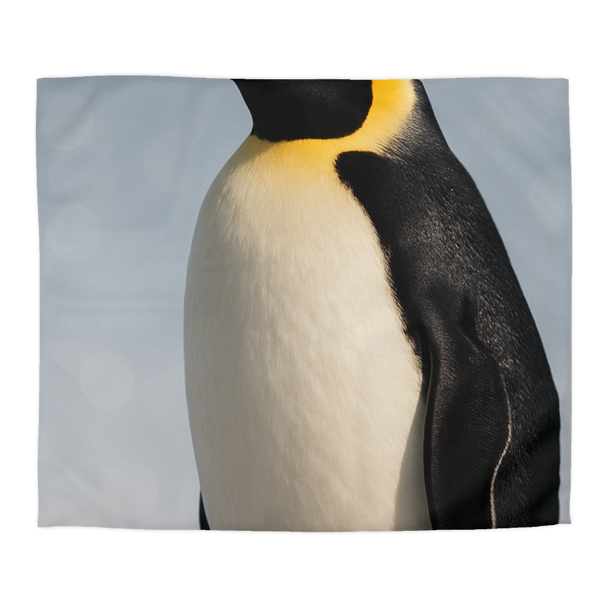Aurora Drift Emperor Penguin warm winter duvets