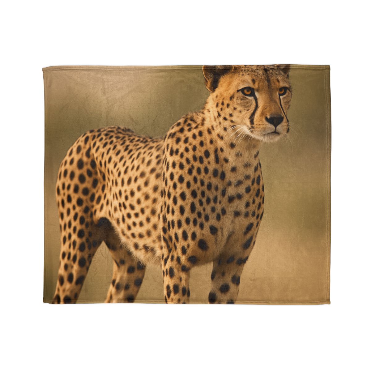 Wind Trace Cheetah soft fleece blankets