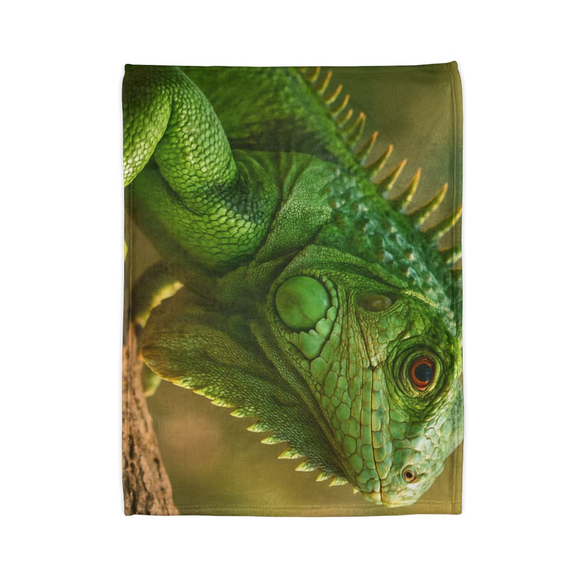 Green Iguana Sun Poise custom blankets