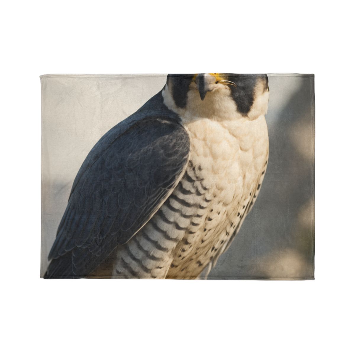 Velocity Gaze Peregrine Falcon decorative home blankets