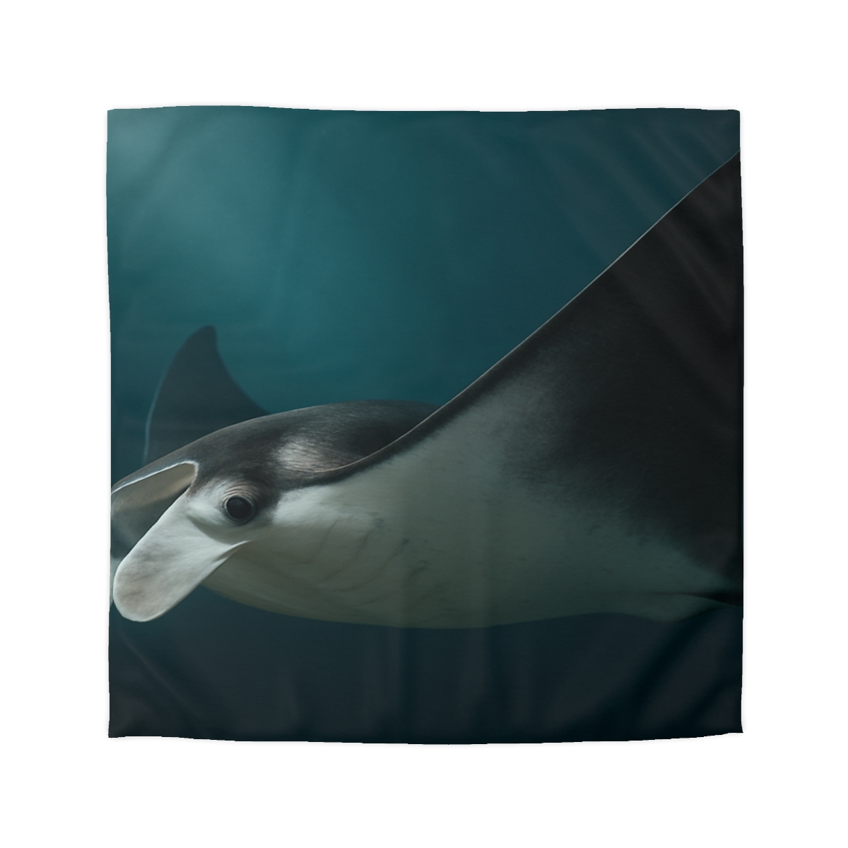 Starlit Glide Manta Ray stylish duvet covers