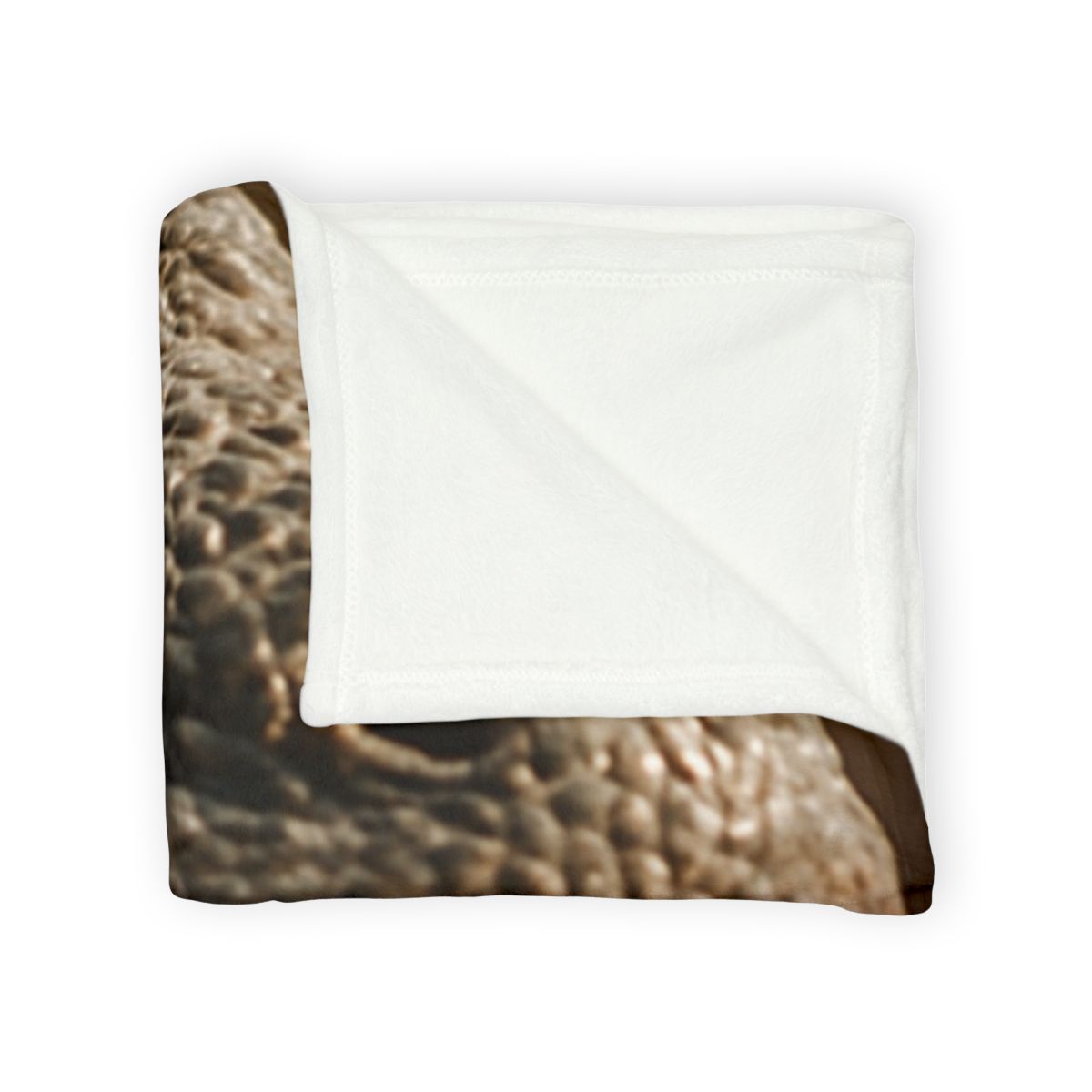 Ancient Sentinel Komodo Dragon soft fleece blankets
