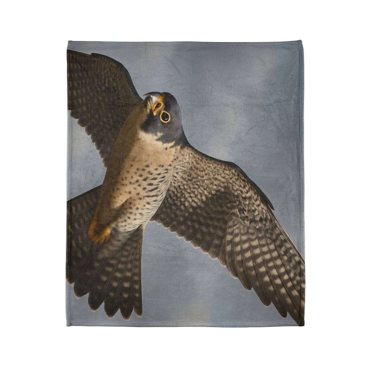 Sky Lance Peregrine Falcon decorative home blankets