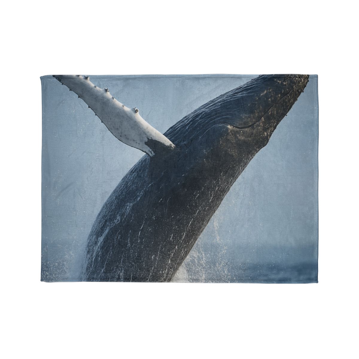 Humpback Whale Rising Calm custom blankets