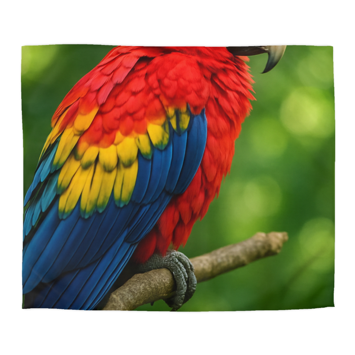 Color Storm Scarlet Macaw trendy bedroom duvets