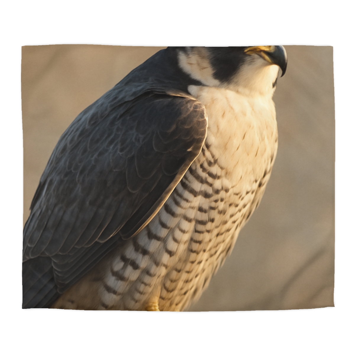 Silver Dusk Peregrine Falcon unique patterned duvets