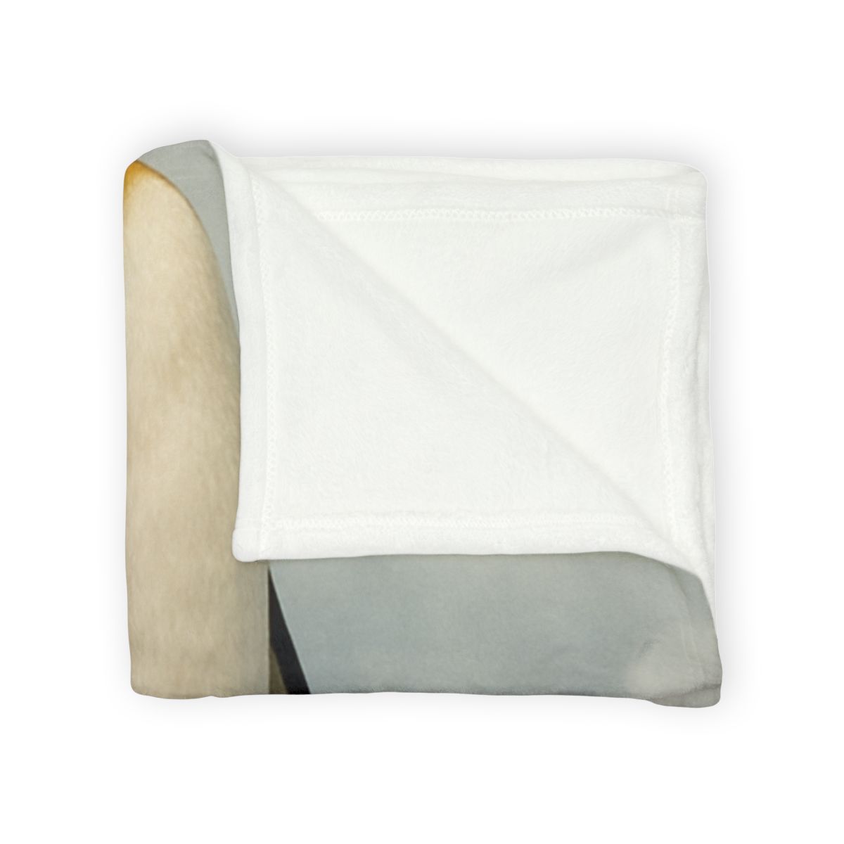 Frost Hush Emperor Penguin trendy patterned blankets