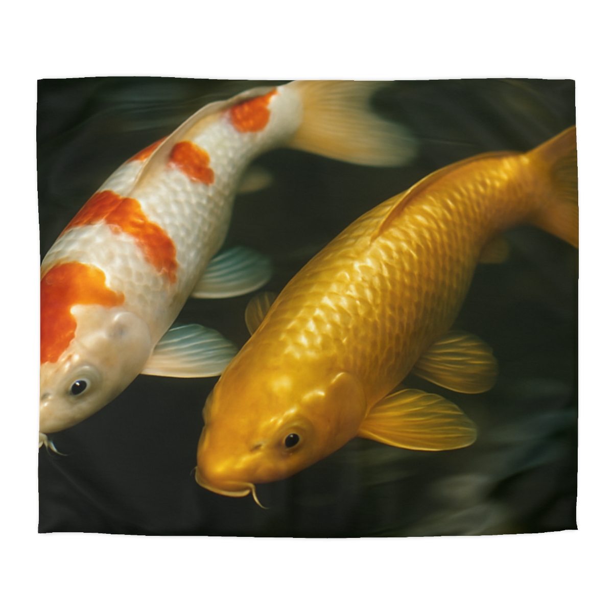 Golden Drift Koi Pair soft comforter duvets