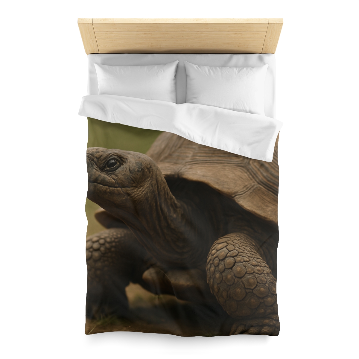 Giant Tortoise Timebound Gaze designer printed duvets