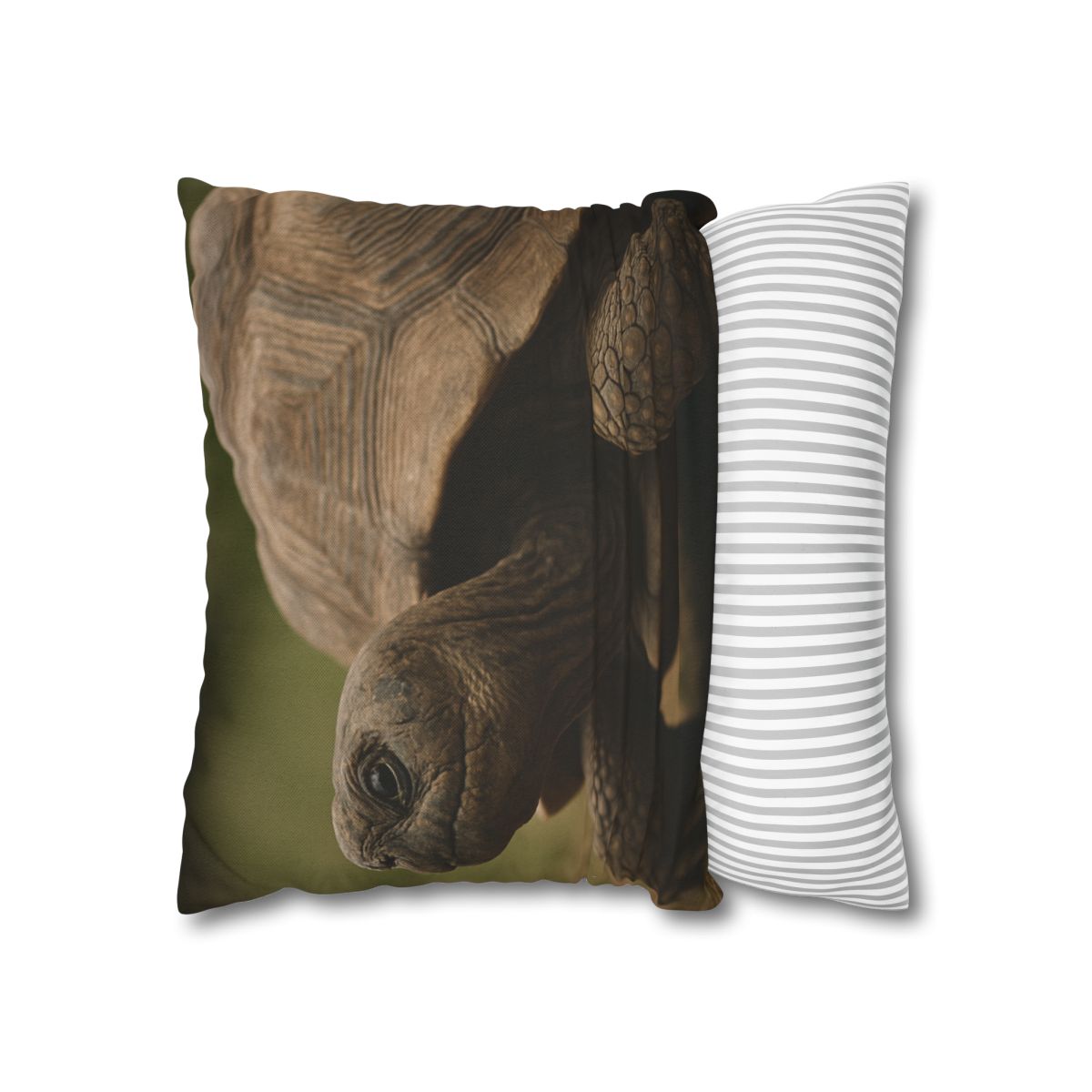 Giant Tortoise Timebound Gaze personalized pillow covers