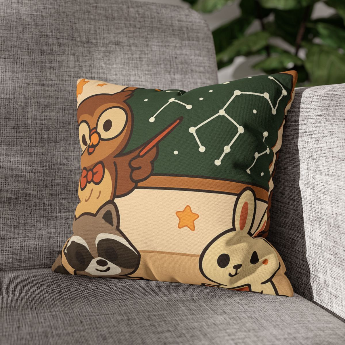 Comet Classroom Owl And The Star Map Chalkboard soft cotton pillow cases