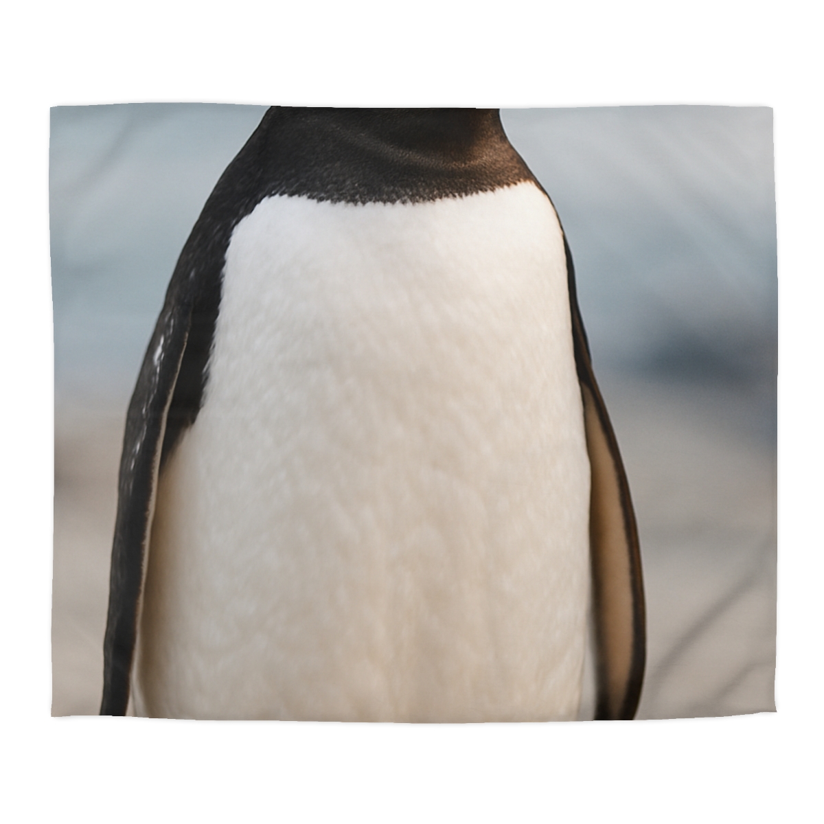 Shoreline Echo Gentoo Penguin trendy bedroom duvets