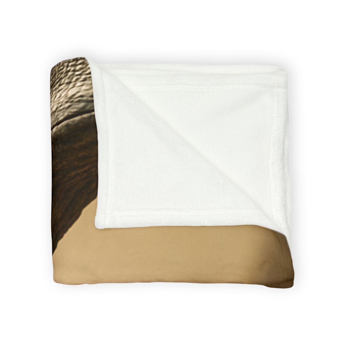 Ancient Sentinel Komodo Dragon designer printed blankets