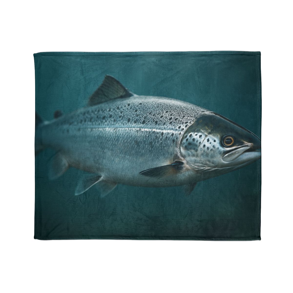 Silver Run Atlantic Salmon personalized cozy blankets