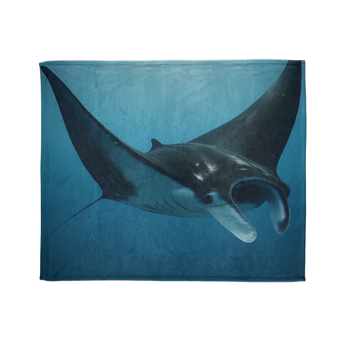 Manta Ray Silent Glide soft fleece blankets